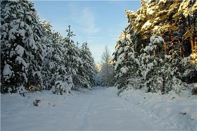 《暗邪西部》”Rentier Boomstick“武器介绍 11月22日发售